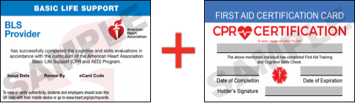 Sample American Heart Association AHA BLS CPR Card Certification and First Aid Certification Card from CPR Certification Laurel