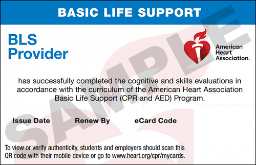 Sample American Heart Association AHA BLS CPR Card Certification from CPR Certification Laurel